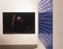 educating-barbie-installation-shot-foreground-maryellen-carroll-background-jemima-stehli